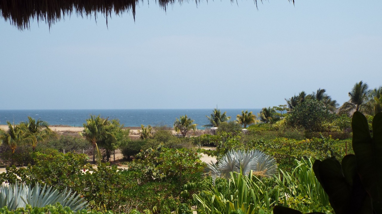 Photo of Patio Balcony in Puerto Escondido