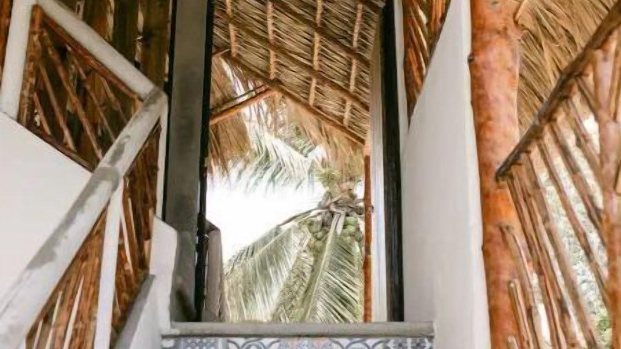 Photo of Outdoor in El Paredon
