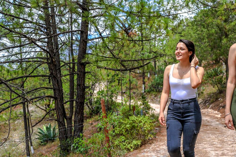 Photo of Outdoor in Monterrey