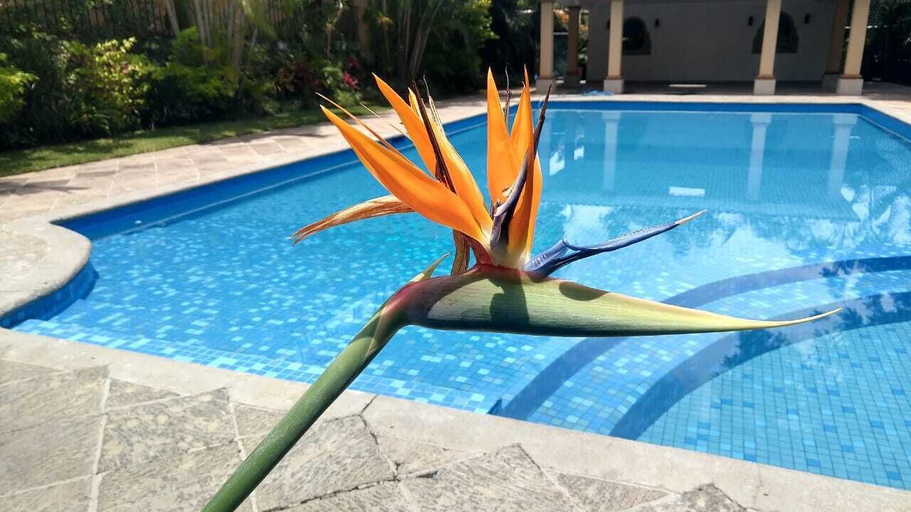 Photo of Outdoor in Cuernavaca