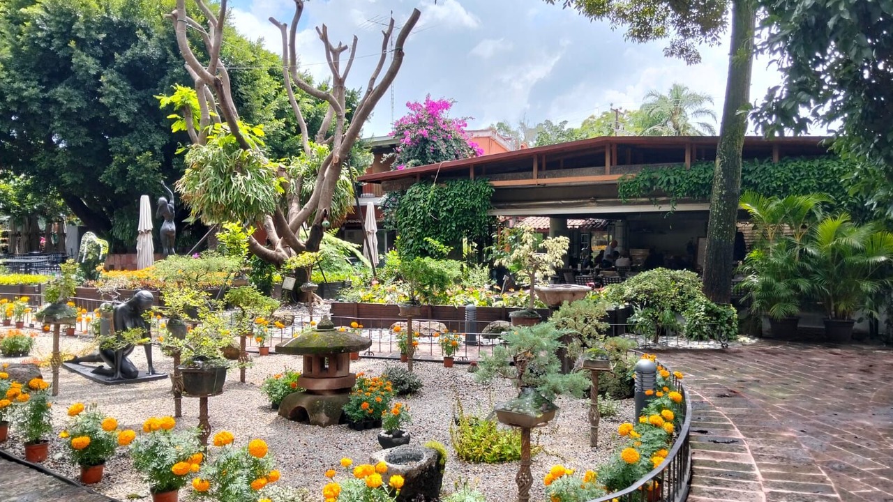 Photo of Outdoor in Las Quintas