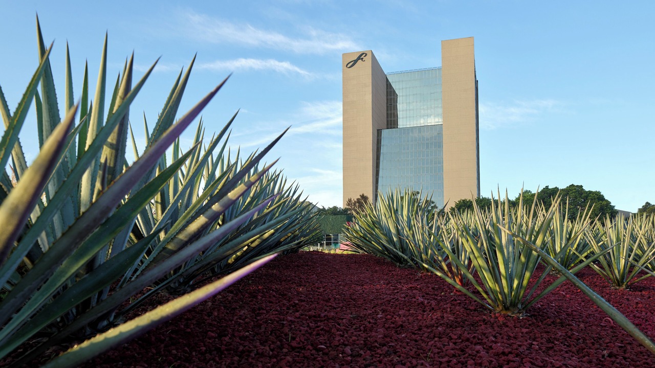 Photo of Outdoor in Vallarta Poniente