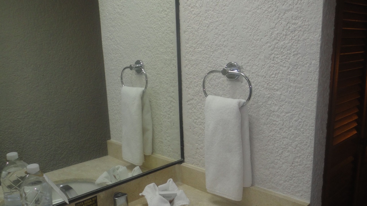 Photo of Bathroom in Gomez Palacio