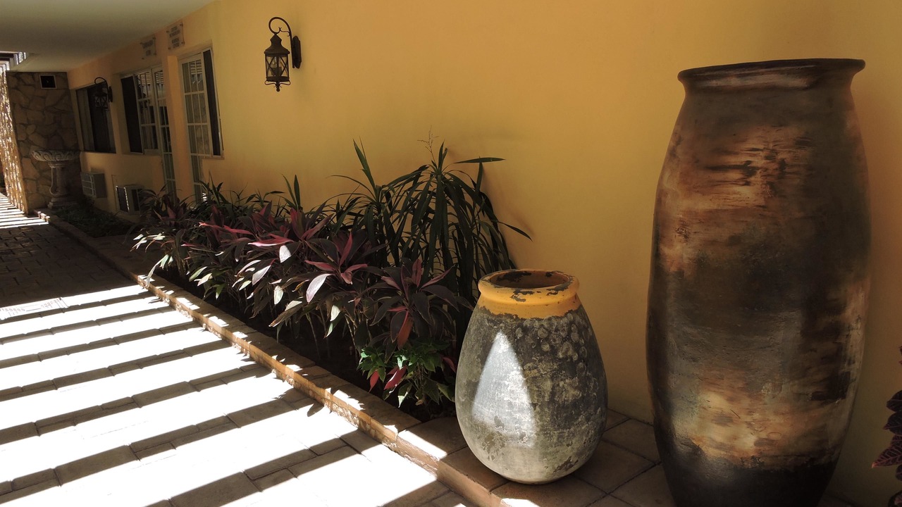 Photo of Outdoor in Gomez Palacio