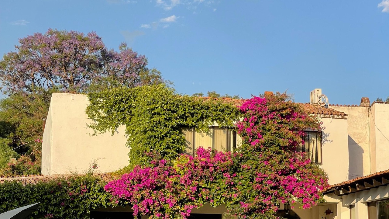 Photo of Outdoor in San Miguel de Allende