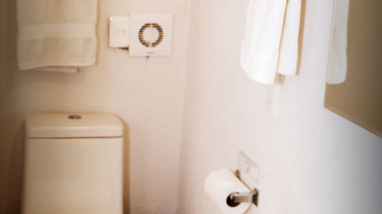 Photo of Bathroom in Desarrollo San Pablo