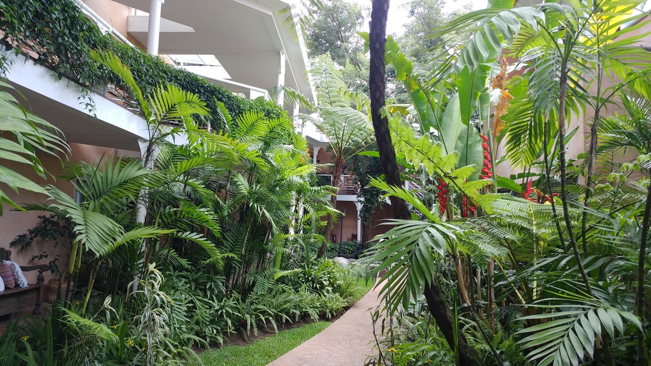 Photo of Outdoor in Zona 10