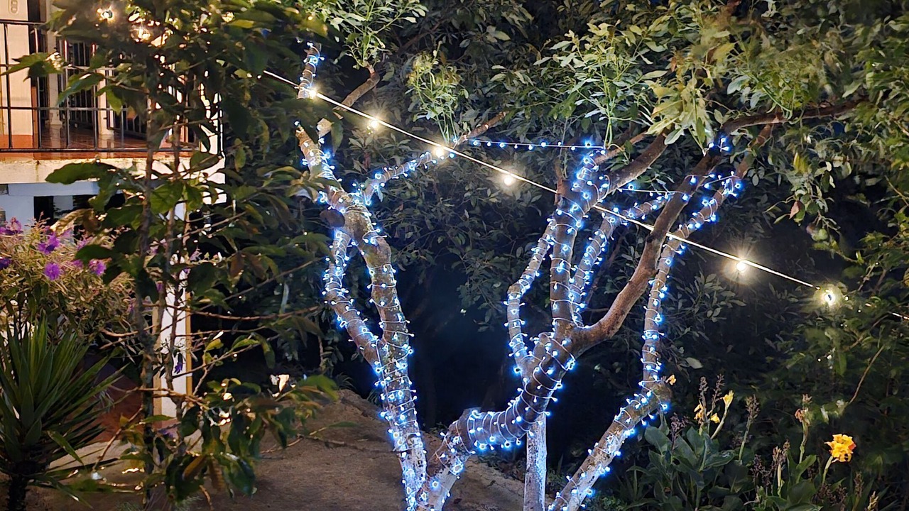 Photo of Outdoor in San Antonio Palopo