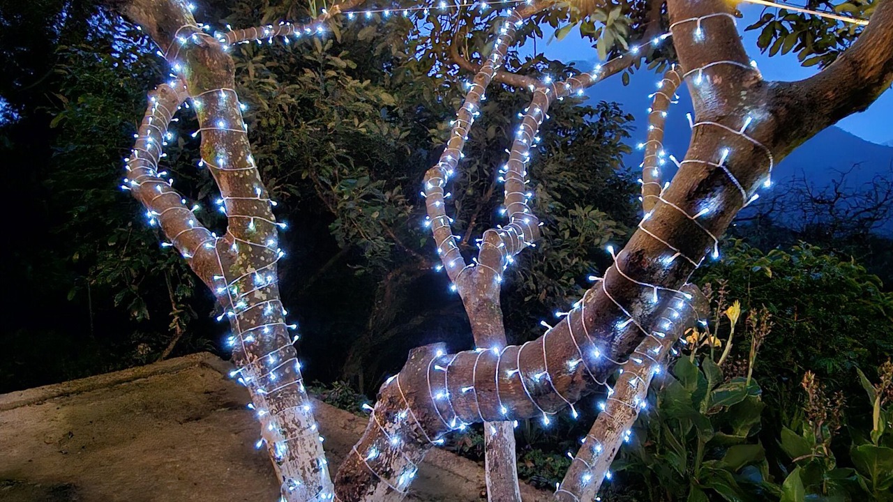 Photo of Outdoor in San Antonio Palopo