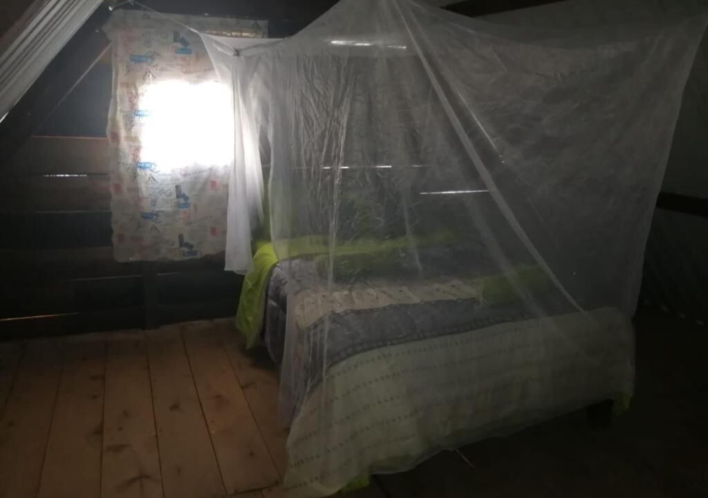 Photo of Bedroom in La Independencia
