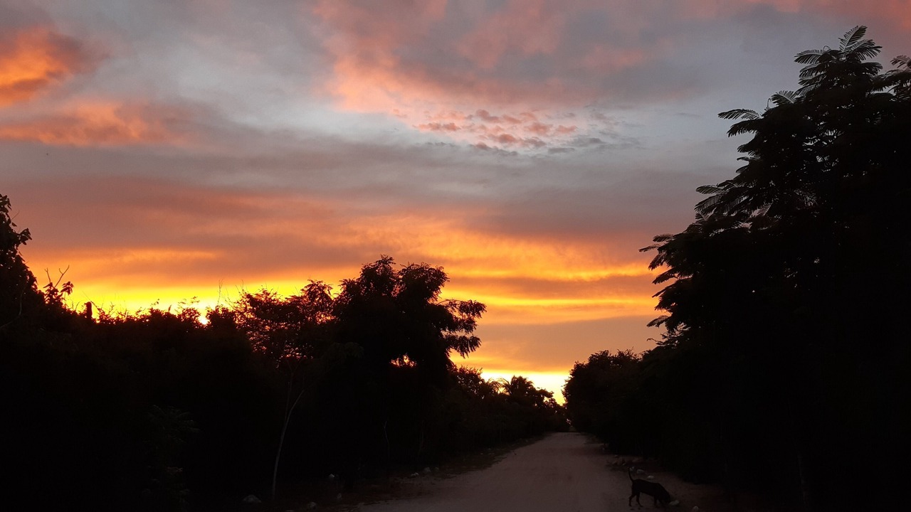 Photo of Others in Rinconada