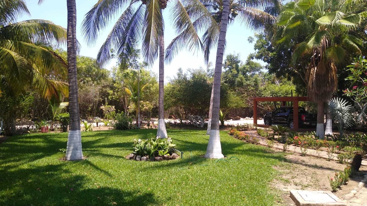 Photo of Outdoor in Rinconada
