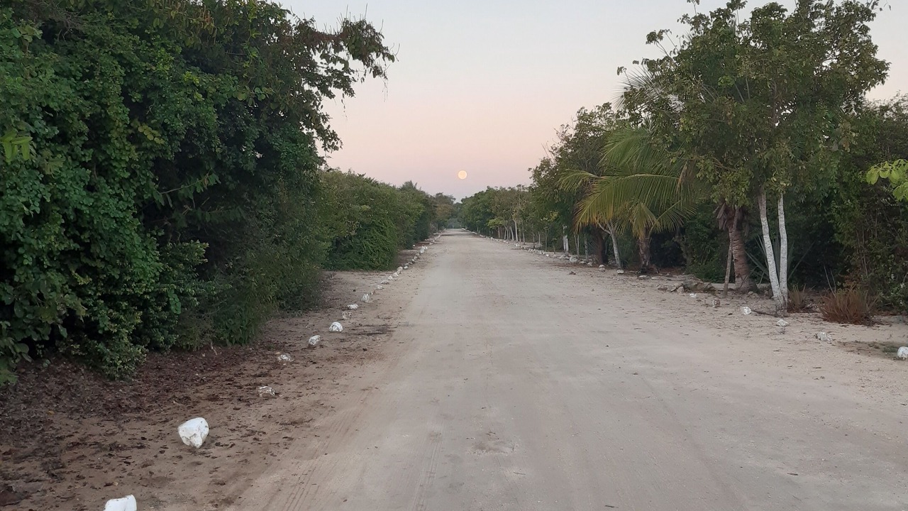 Photo of Others in Rinconada
