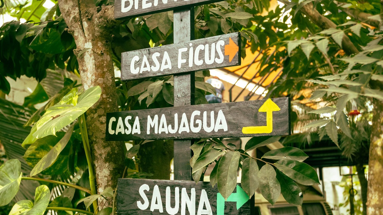 Photo of Outdoor in Sayulita
