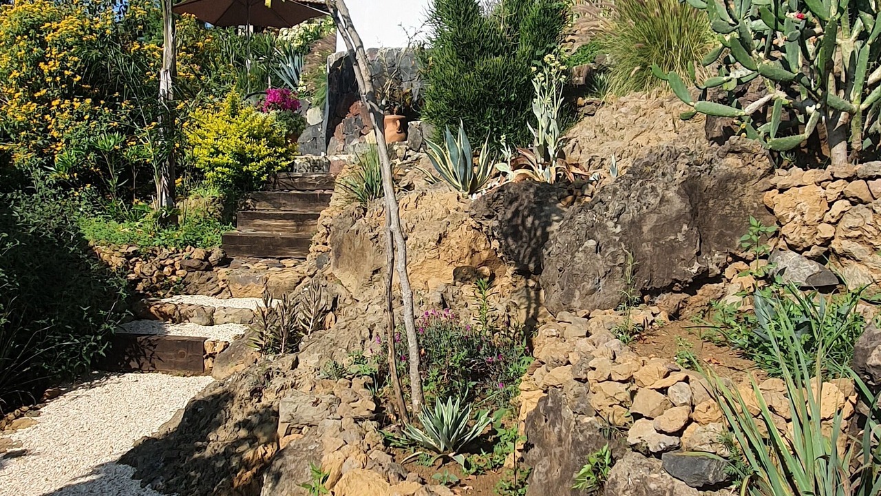 Photo of Outdoor in Totolapan