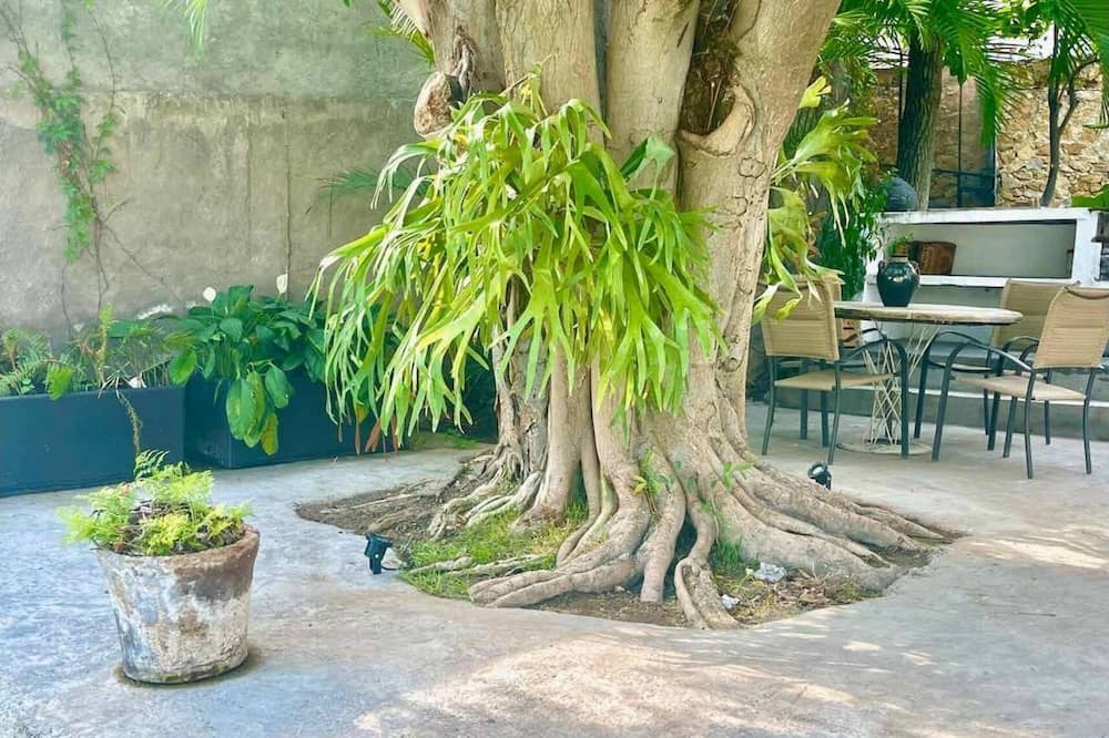 Photo of Outdoor in Tequesquitengo