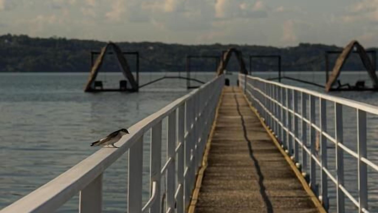 Photo of Others in Peten