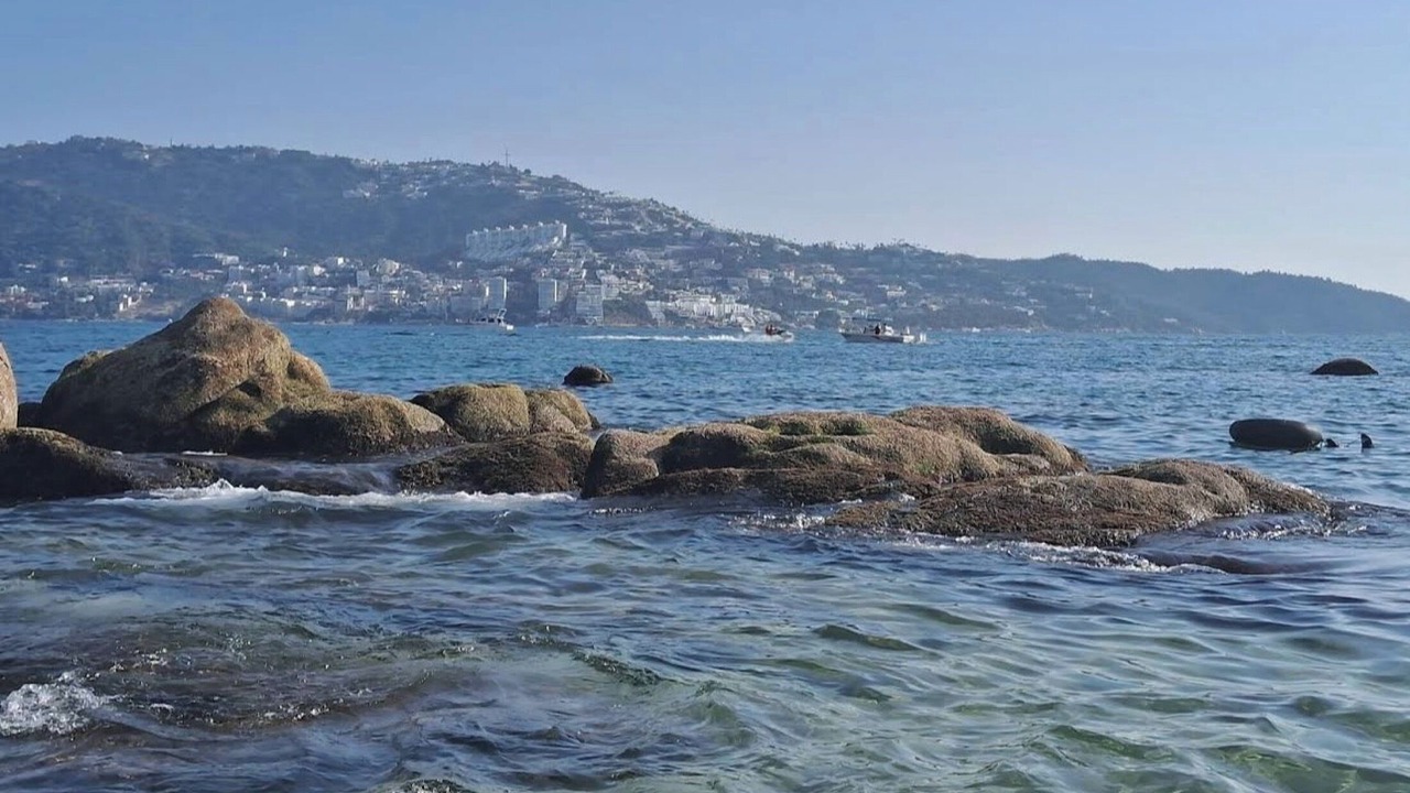 Photo of Others in Farallon