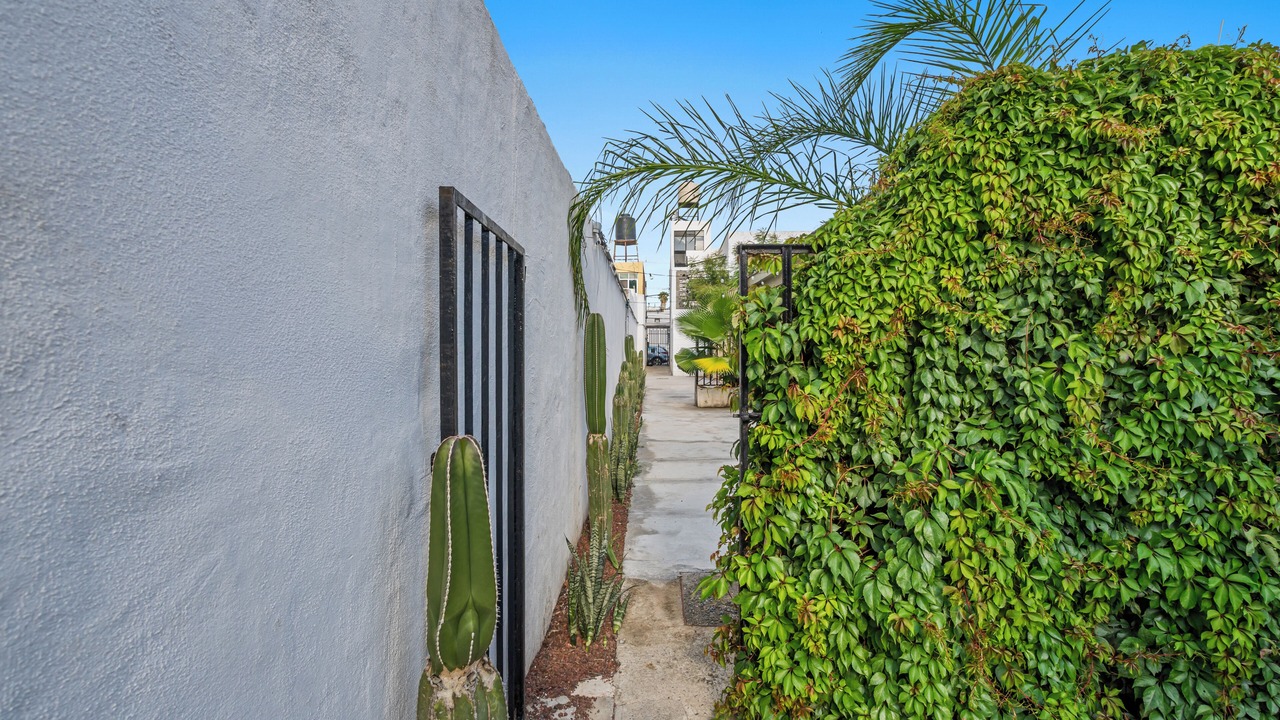 Photo of Outdoor in Leon