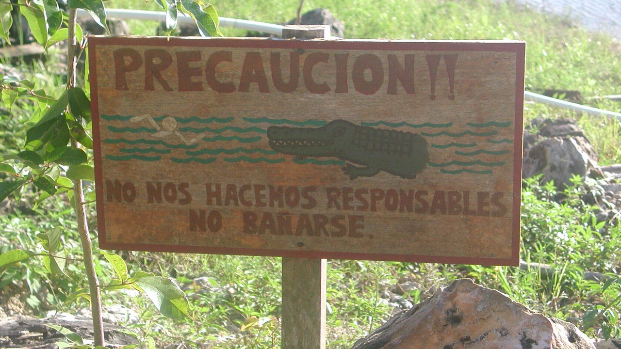 Photo of Others in Laguna Yaxha