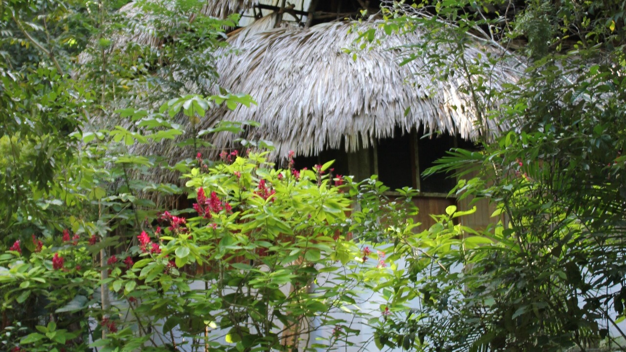 Photo of Outdoor in Laguna Yaxha