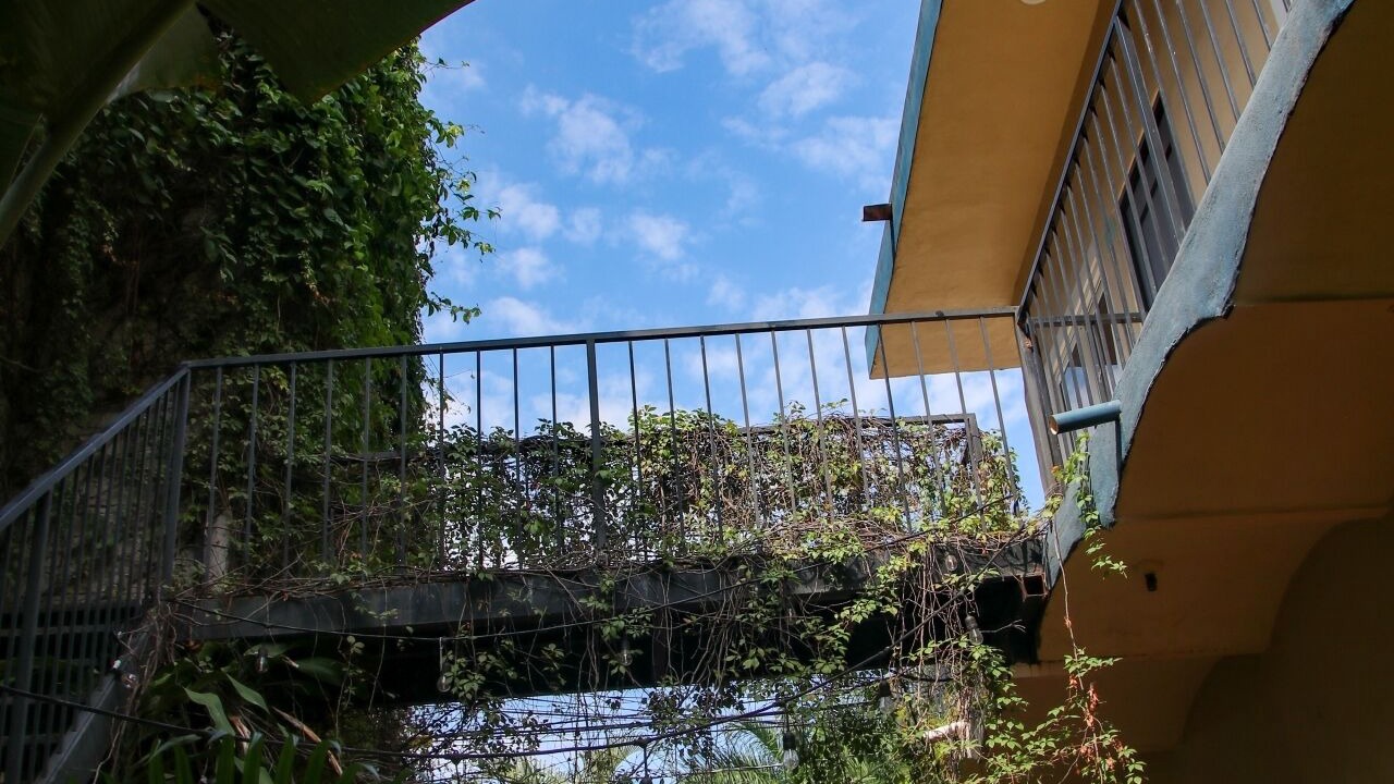 Photo of Outdoor in Chacala