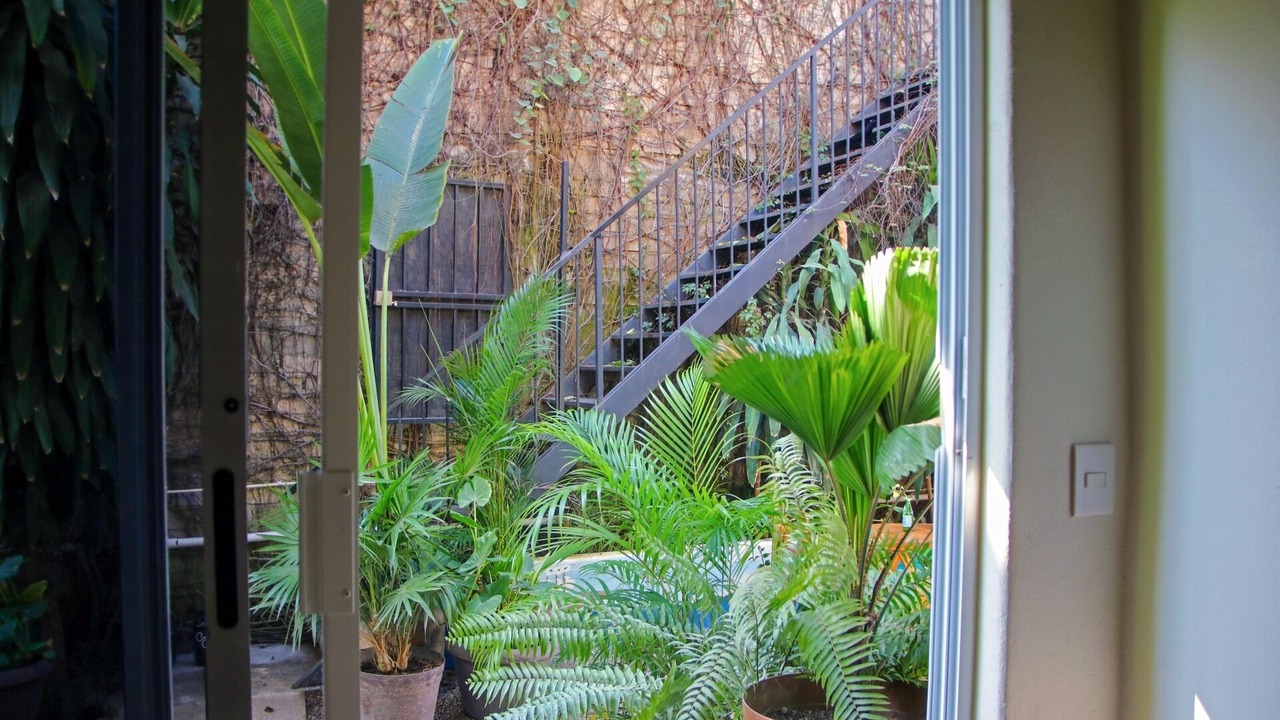 Photo of Outdoor in Chacala