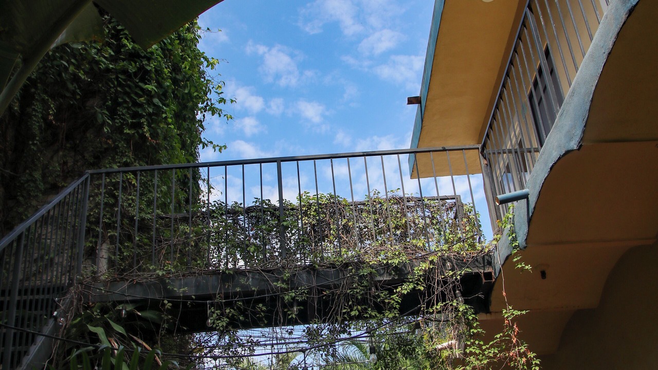 Photo of Outdoor in Chacala