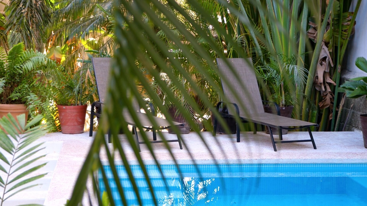 Photo of Outdoor in Chacala