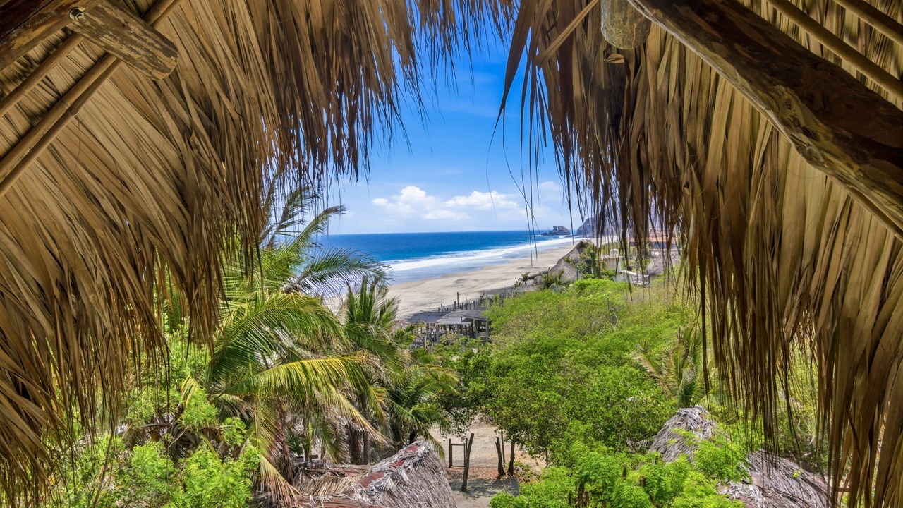Photo of Others in Mazunte