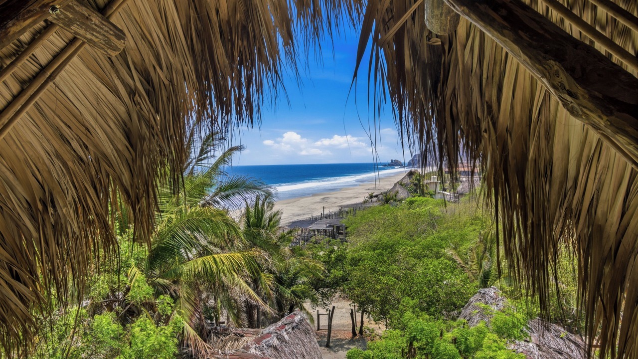 Photo of Others in Mazunte