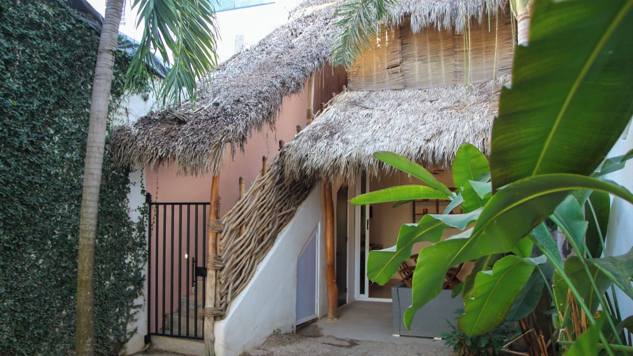 Photo of Outdoor in Chacala
