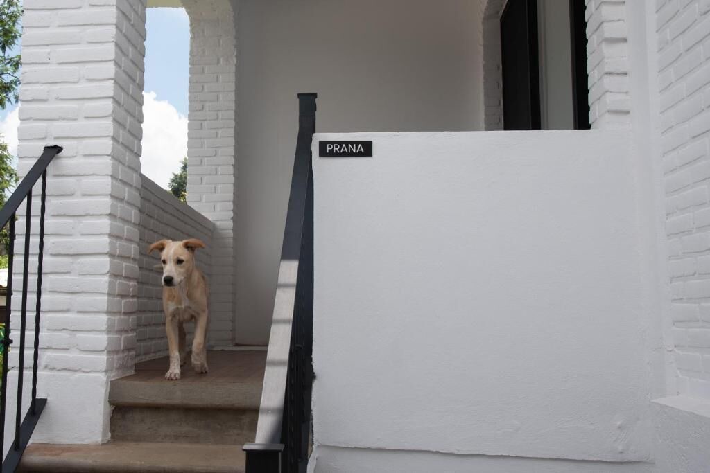 Photo of Patio Balcony in Tepoztlan