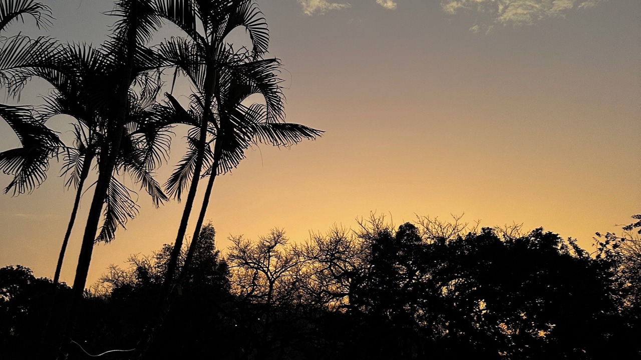 Photo of Others in Yautepec
