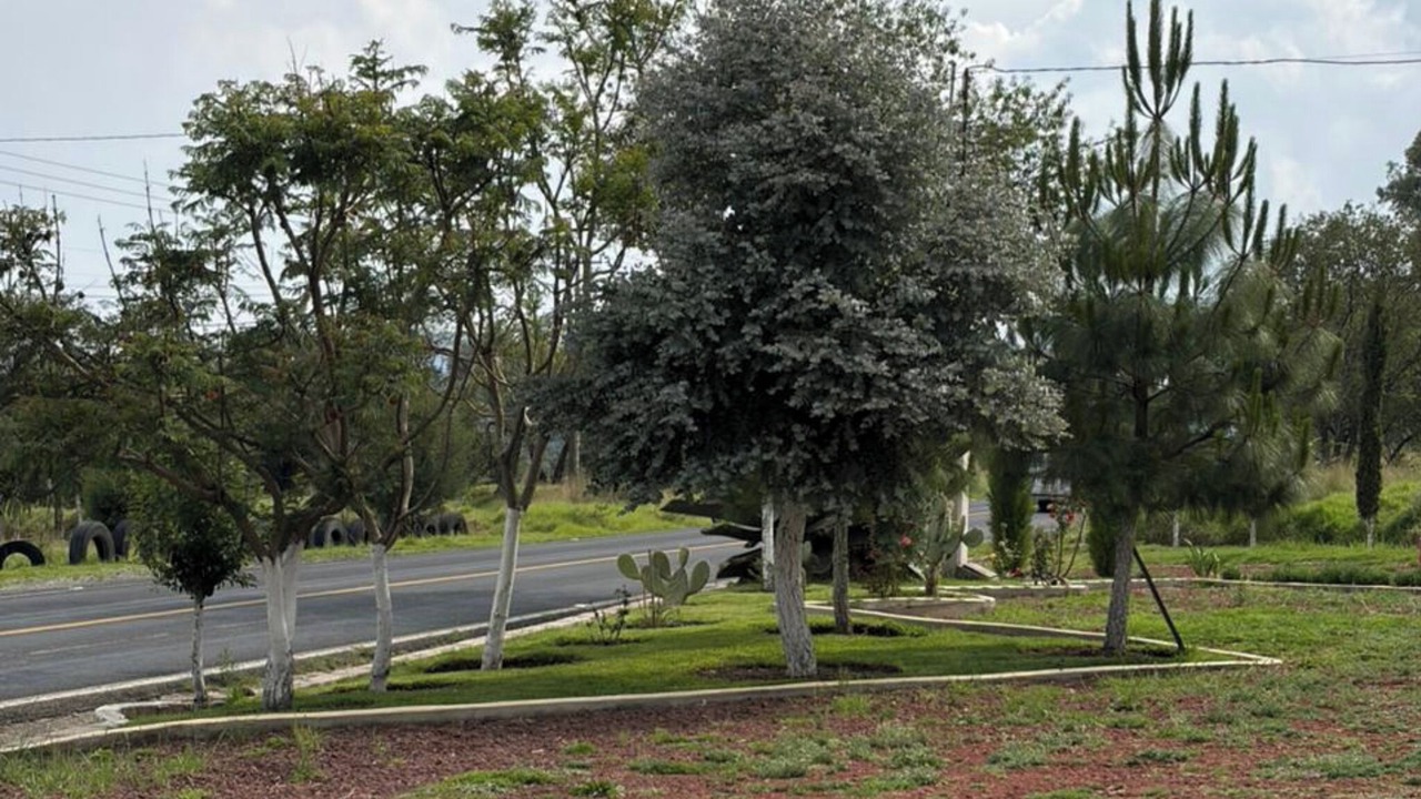 Photo of Outdoor in Nanacamilpa