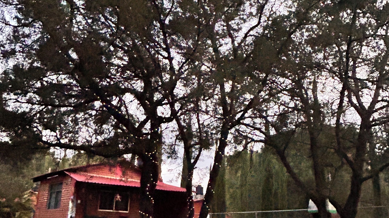 Photo of Others in Huasca De Ocampo