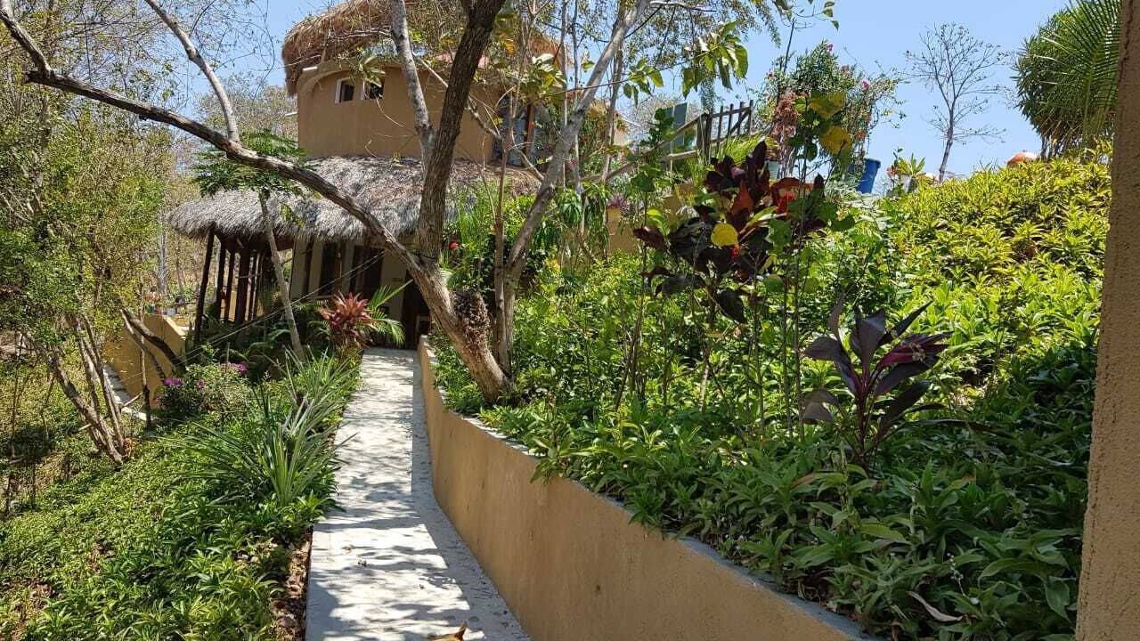 Photo of Outdoor in Mazunte