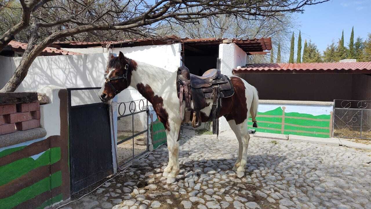 Photo of Outdoor in San Miguel de Allende