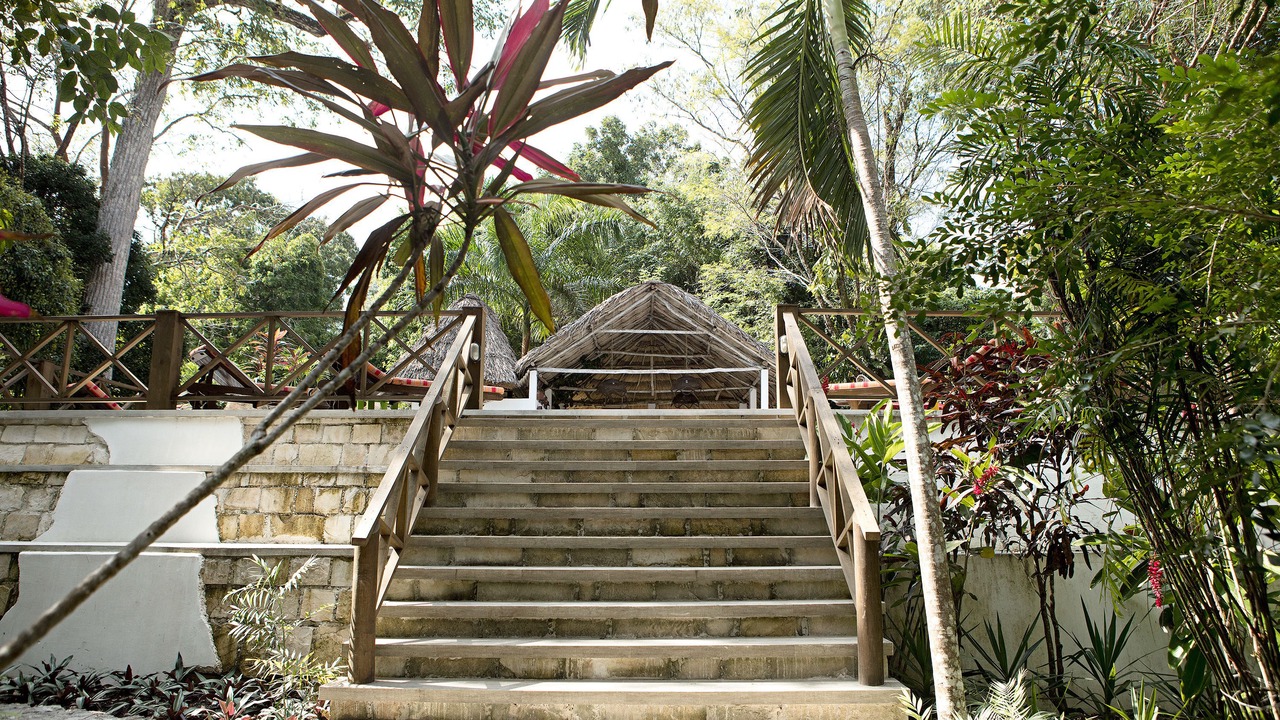 Photo of Others in Tikal National Park