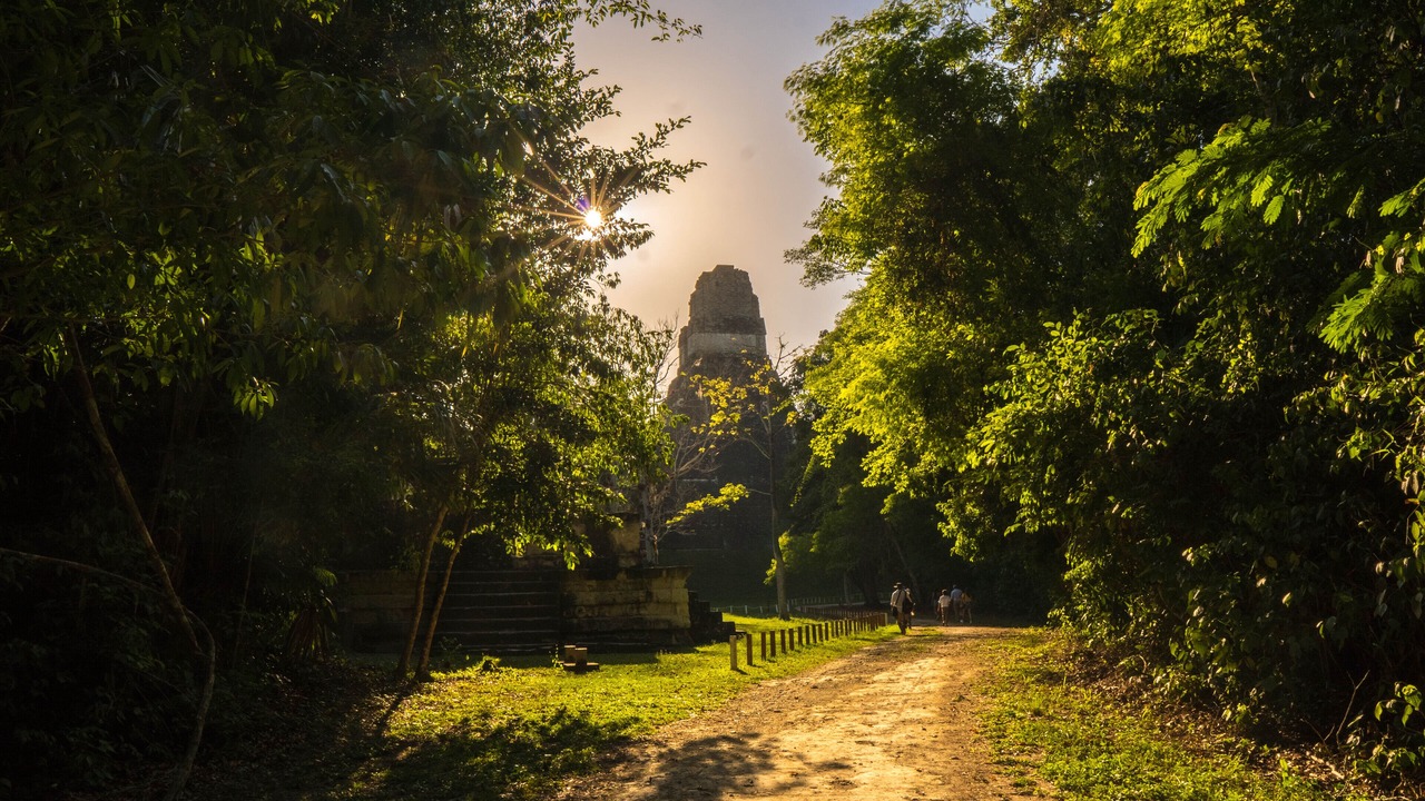 Photo of Others in Tikal National Park