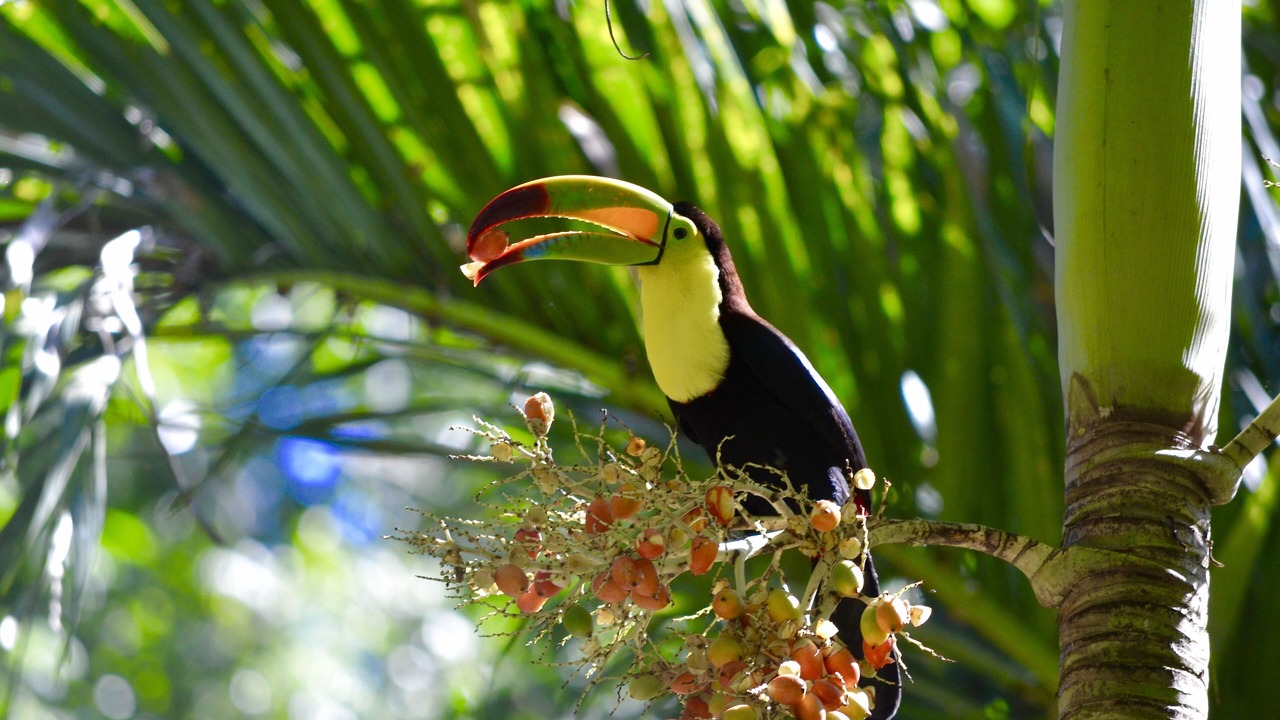 Photo of Outdoor in Tikal National Park
