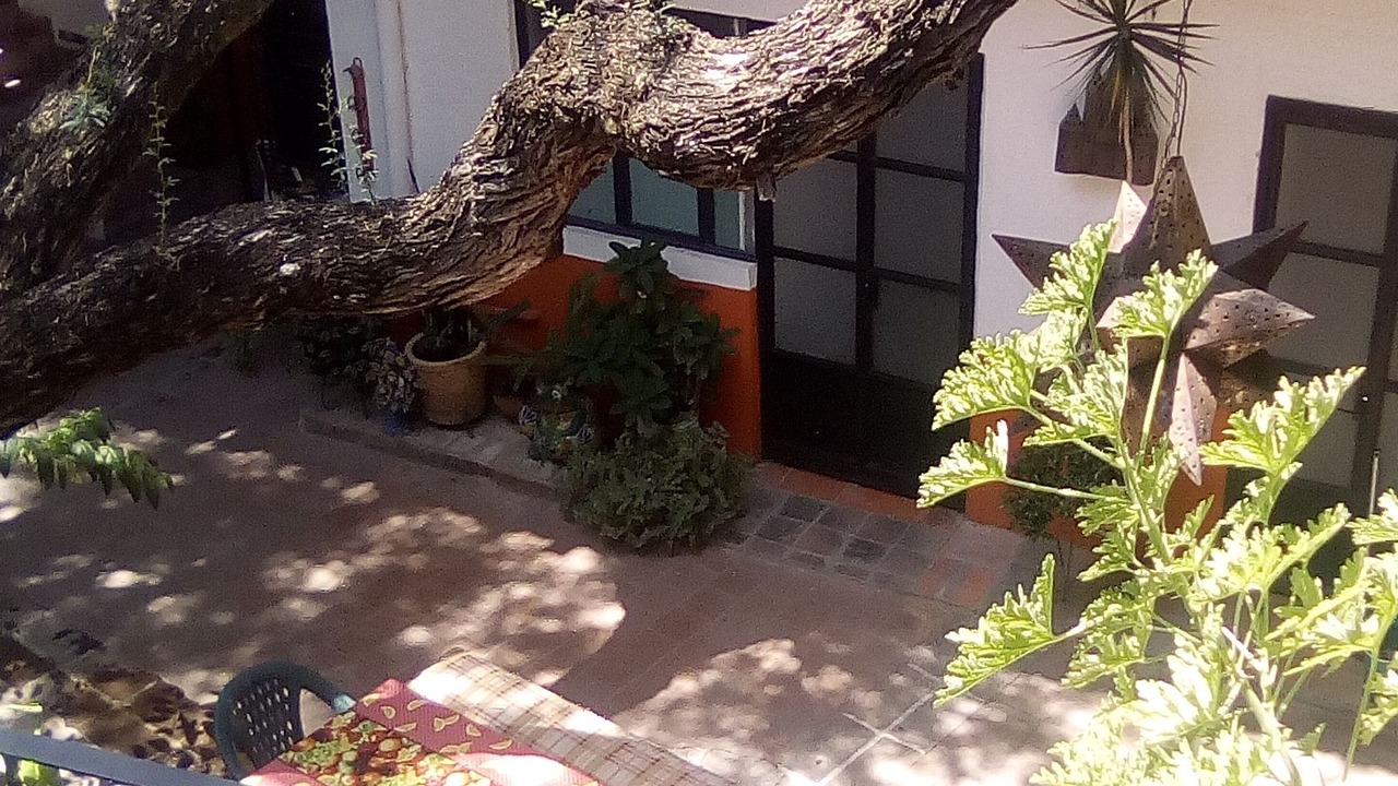 Photo of Outdoor in San Miguel de Allende