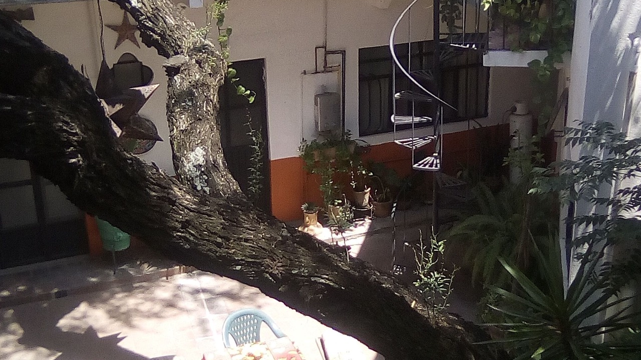 Photo of Outdoor in San Miguel de Allende
