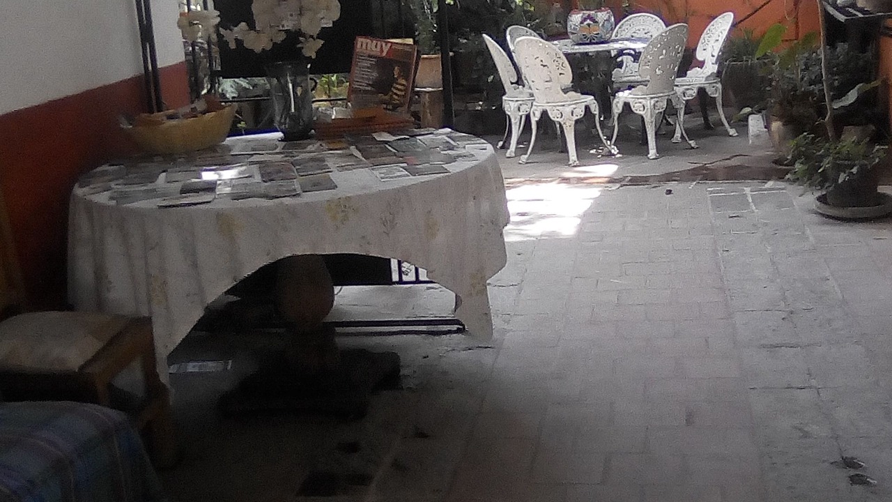 Photo of Outdoor in San Miguel de Allende
