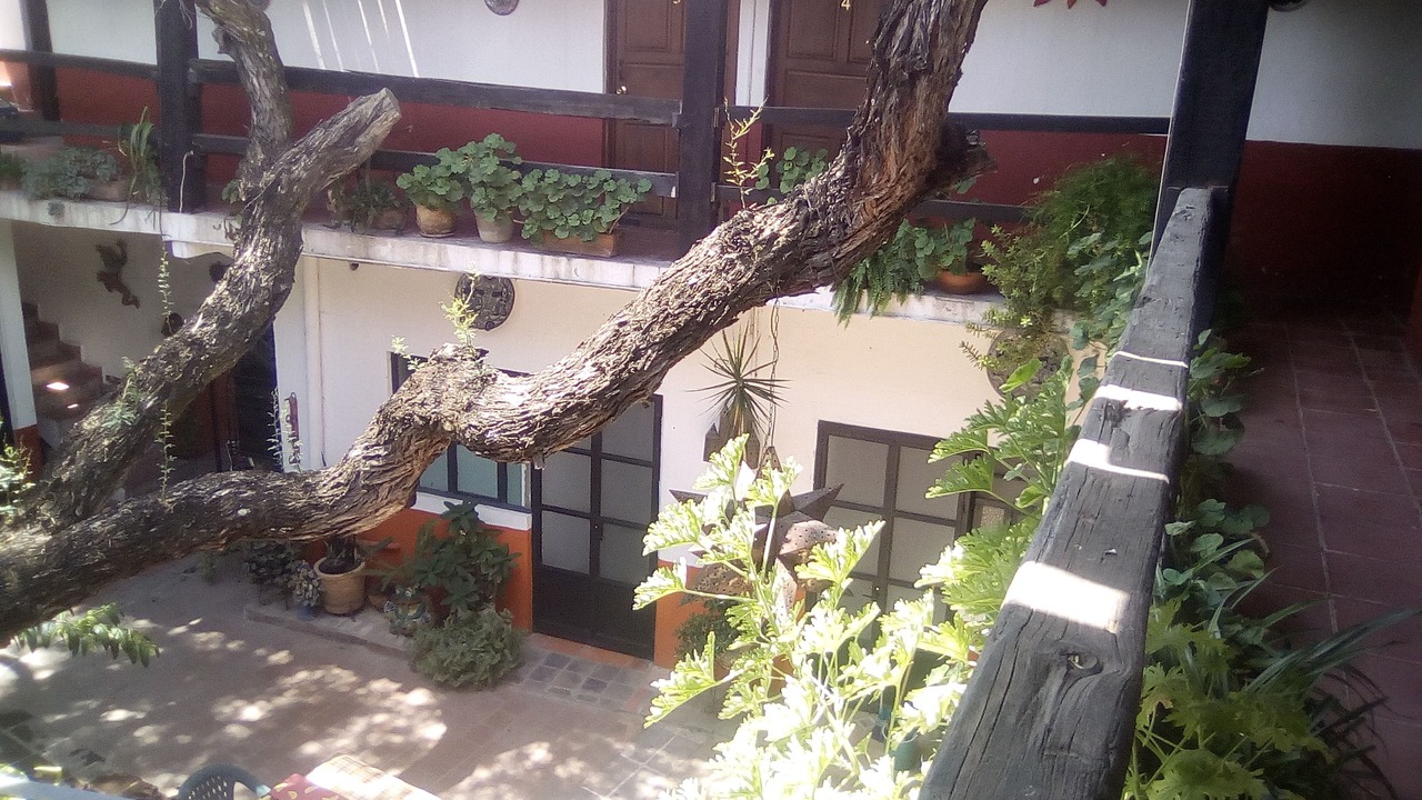 Photo of Outdoor in San Miguel de Allende