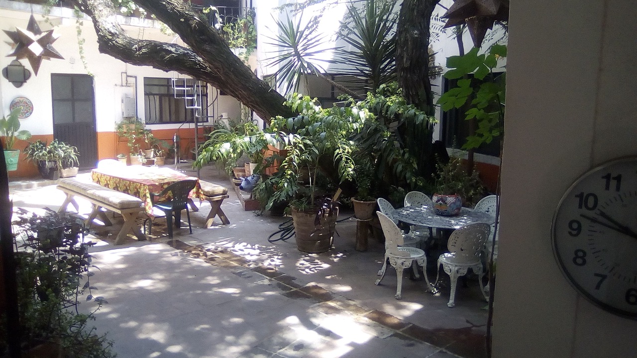 Photo of Outdoor in San Miguel de Allende