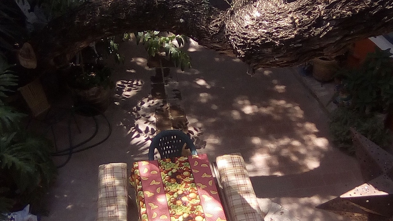 Photo of Outdoor in San Miguel de Allende