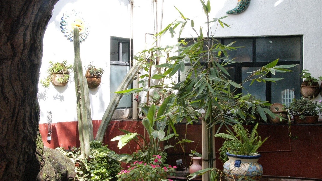 Photo of Outdoor in San Miguel de Allende