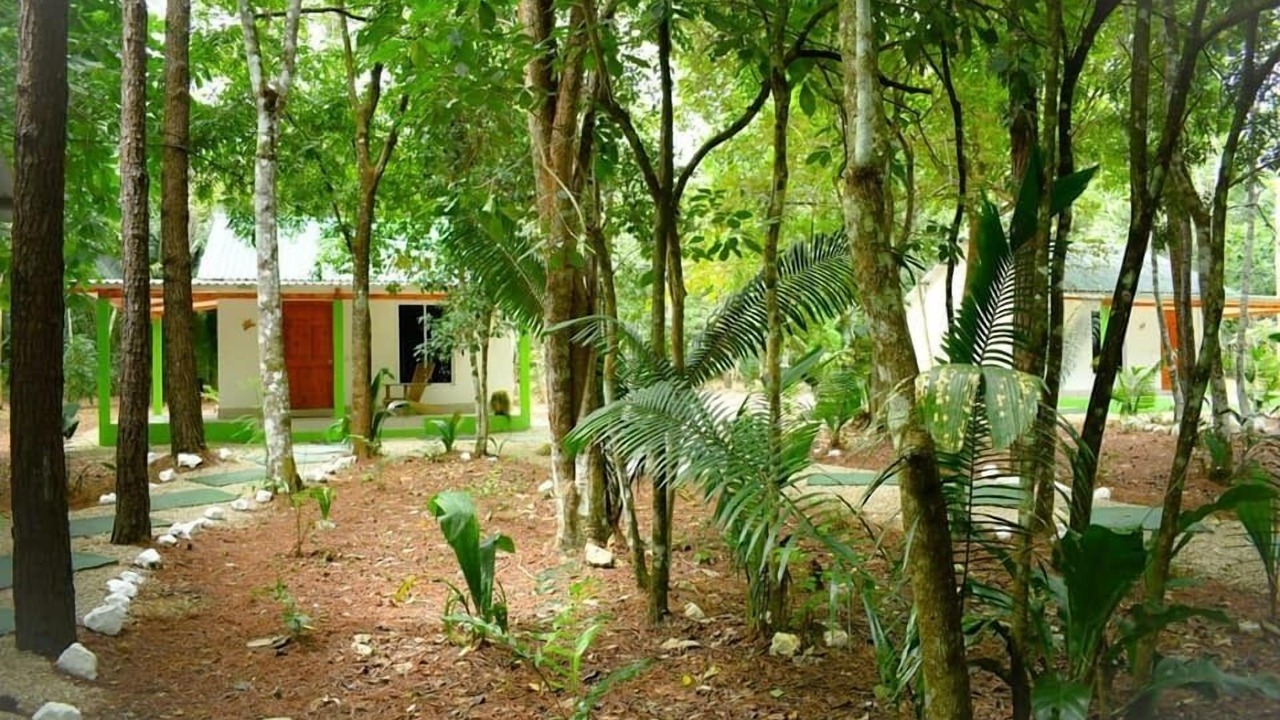 Photo of Outdoor in Santa Ana