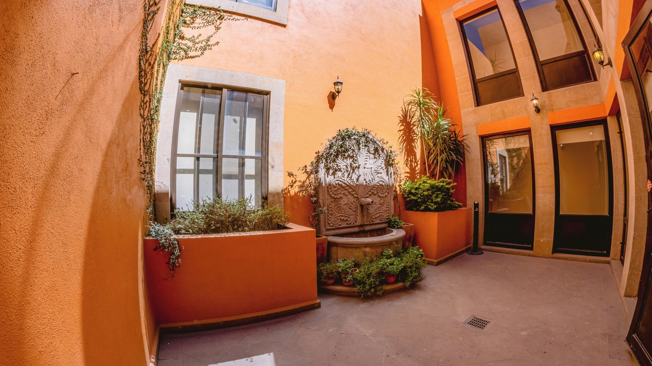 Photo of Others in San Miguel de Allende